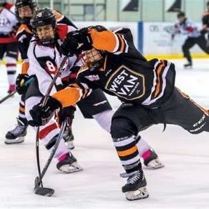 Meet your Posher, Troy